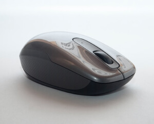 mouse